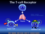 T cell receptor