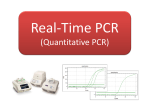 Real-time PCR