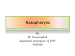 Nasopharynx - mums.ac.ir