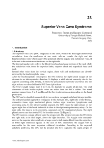Superior Vena Cava Syndrome