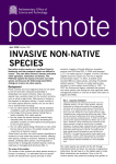 invasive non-native species