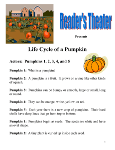 Life Cycle of a Pumpkin