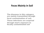 Feces Mainly in Soil