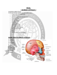 SKULL ( NORMA LATERALIS )