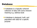 A Simplified Database System Environment
