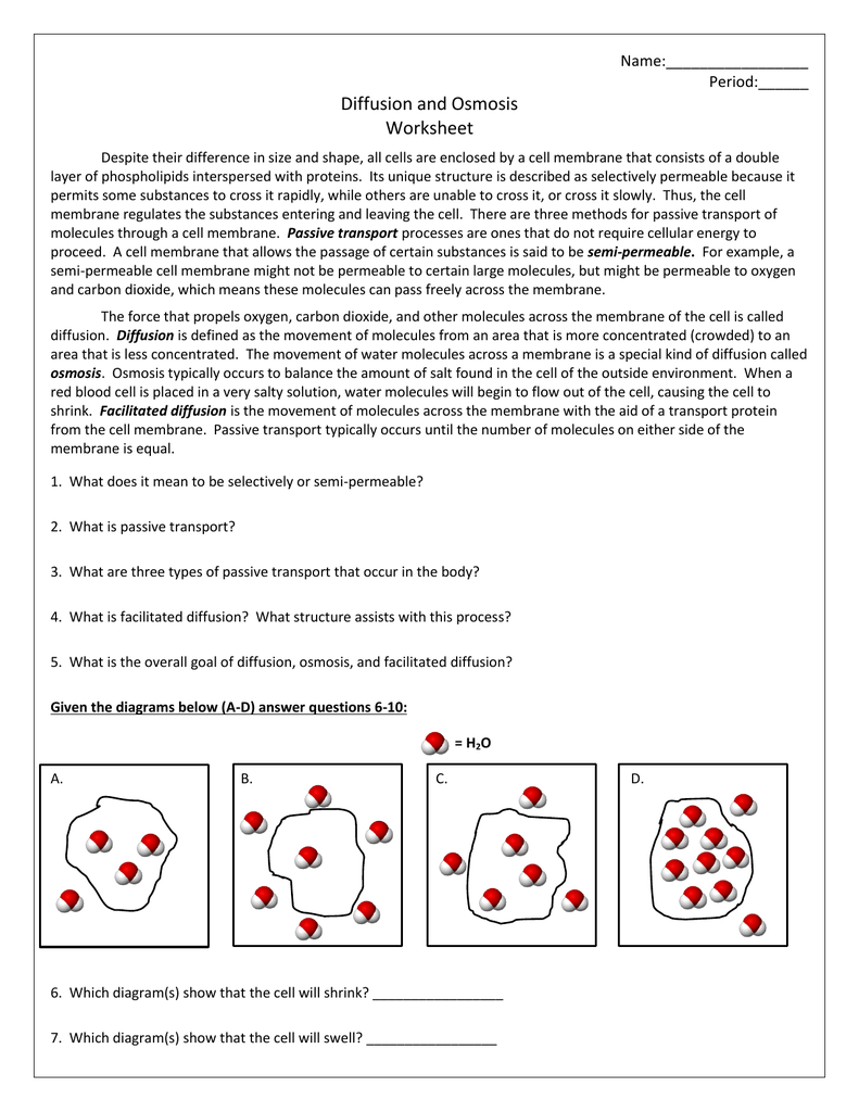 Diffusion and Osmosis Worksheet With Diffusion And Osmosis Worksheet Answers