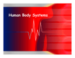 Human Body Systems PPt