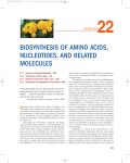 BIOSYNTHESIS OF AMINO ACIDS, NUCLEOTIDES, AND