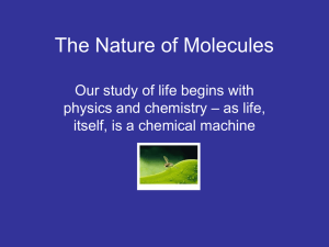 The Nature of Molecules