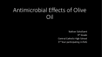 Antimicrobial Effects of Olive Oil