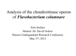 Analysis of the chondroitinase operon of Flavobacterium columnare