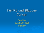 FGFR3 and Bladder Cancer