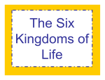 6 Kingdoms - Lisle CUSD 202