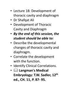 • Lecture 18: Development of thoracic cavity and diaphragm • Dr