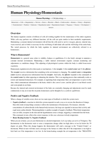 Human Physiology/Homeostasis