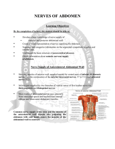 NERVE SUPPLY OF ABDOMEN