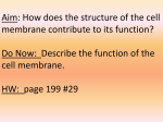 How does the structure of the cell membrane contribute to its function?