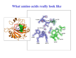 What amino acids really look like