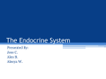 The Endocrine System