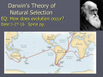 Darwin`s Theory of Natural Selection Date:2-4
