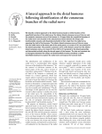 A lateral approach to the distal humerus following identification of