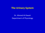 The Urinary System