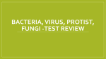 Bacteria, Virus, Protist, Fungi -Test review