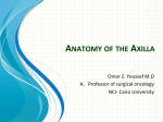 anatomy of the axilla - Cairo University Scholars