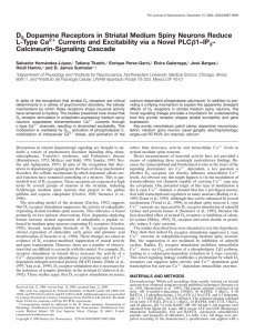 D2 Dopamine Receptors in Striatal Medium Spiny Neurons Reduce