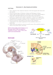 Neuroscience 7c – Basal Ganglia and Cerebellum