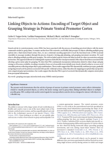 Linking Objects to Actions: Encoding of Target Object and Grasping