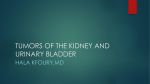 tumors of the kidney and urinary bladder