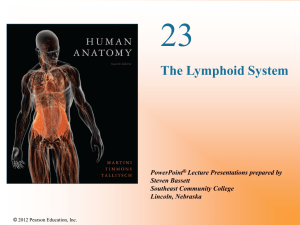 The Lymphoid System - Napa Valley College