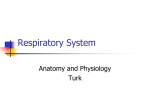 Respiratory lecture