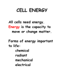 CELL ENERGY