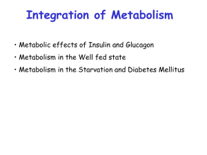 Insulin - ISpatula