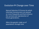 Evolution* Change over Time