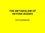 THE METABOLISM OF KETONE BODIES