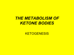 THE METABOLISM OF KETONE BODIES