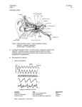 Auditory System - PROFESSOR AC BROWN