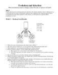 WS - Evolution and Selection Pogil