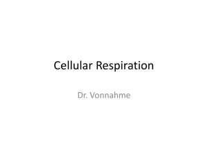 Dr. V. Main Powerpoint