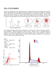 CELL CYCLE BASICS
