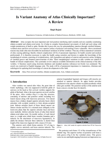 Atlas, First cervical vertebra, Atlanto-occipital joint, Axis, Atlanto