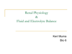 Renal physiology