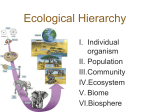 Ecosystem Pyramid - Effingham County Schools
