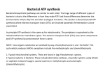 Bacterial ATP synthesis - Chris Anthony homepage