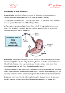 Stimulation of HCL secretion