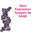 Gene Expression Analysis by SAGE and MPSS