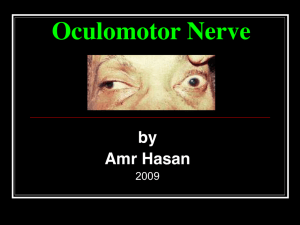 Oculomotor Nerve - Dr. Amr Hasan Neurology Clinic